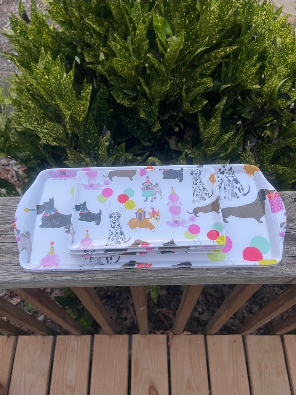 Cynthia Rowley Party Dogs Melamine set